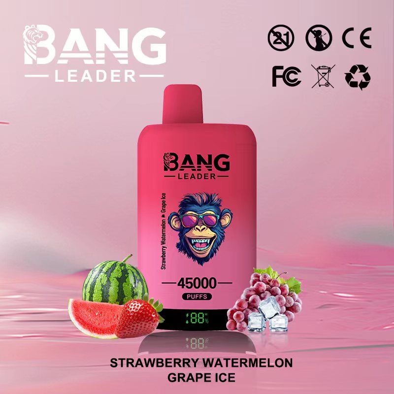 Bang Leader 45k Puffs 2-in-1