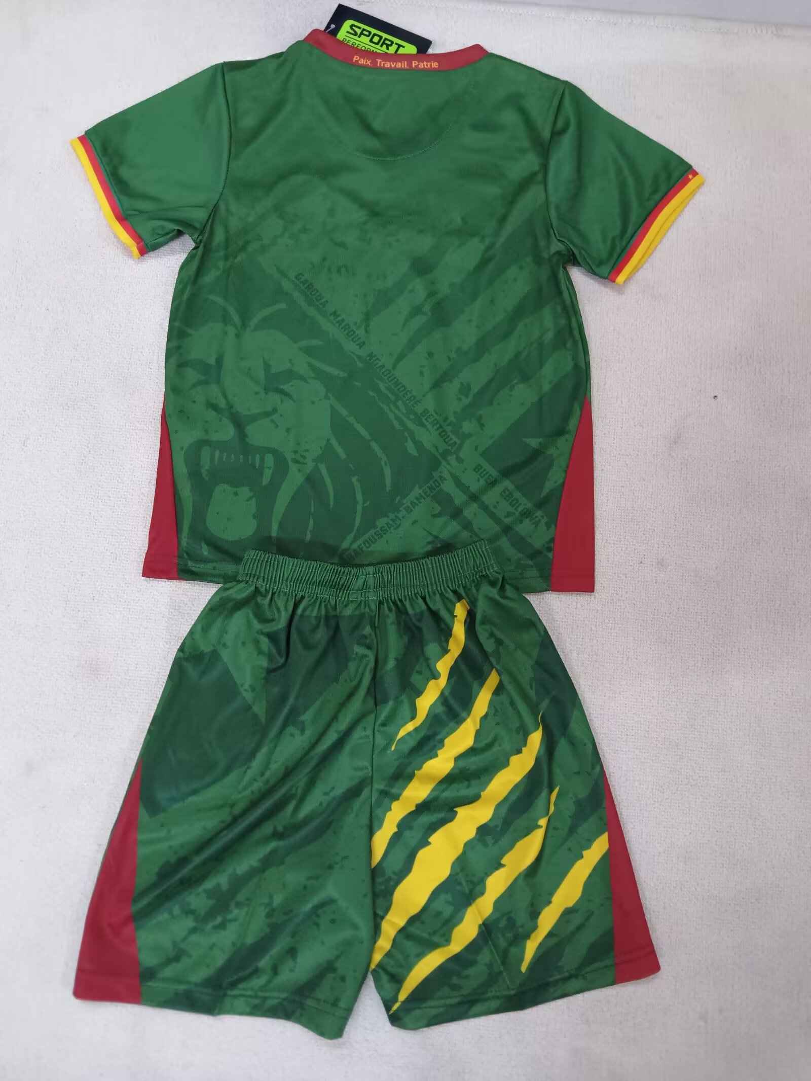 25-26 Cameroon Home Shirt - Kids
