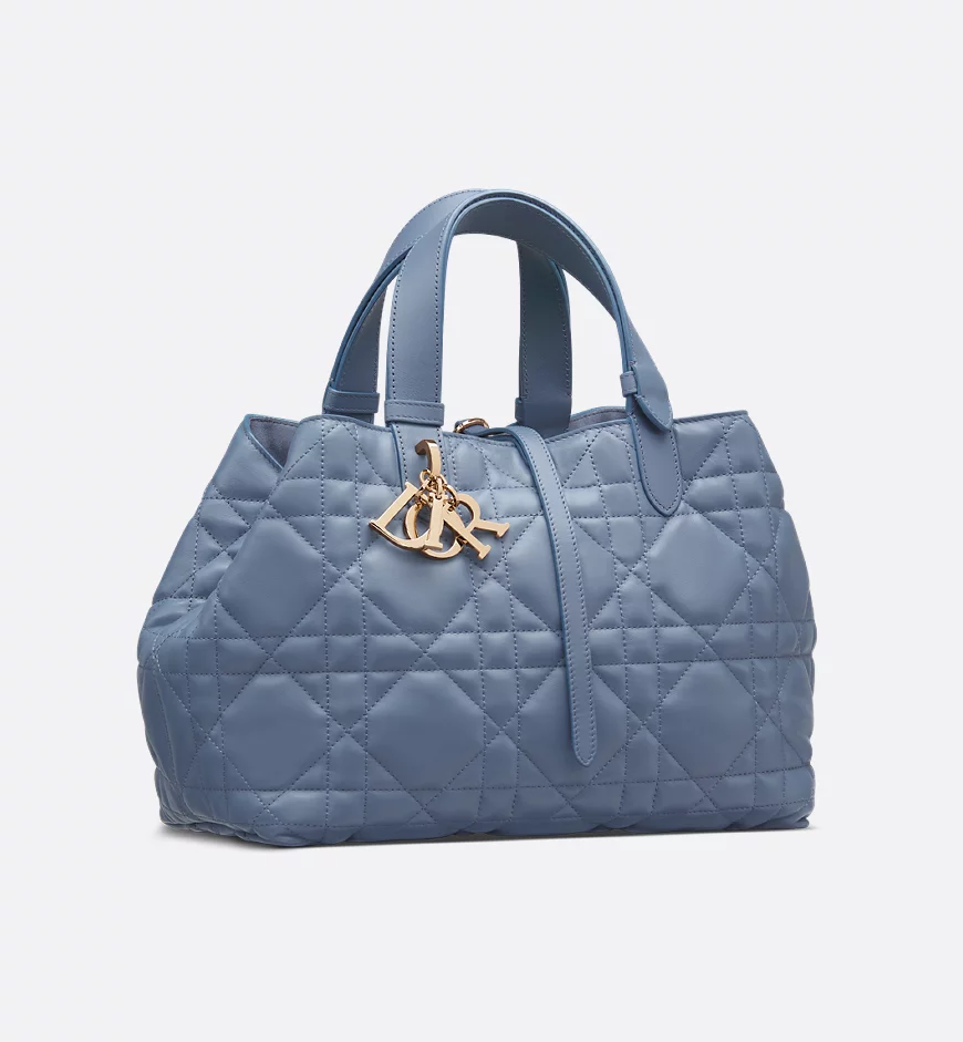 Medium Toujours Bag HandBags