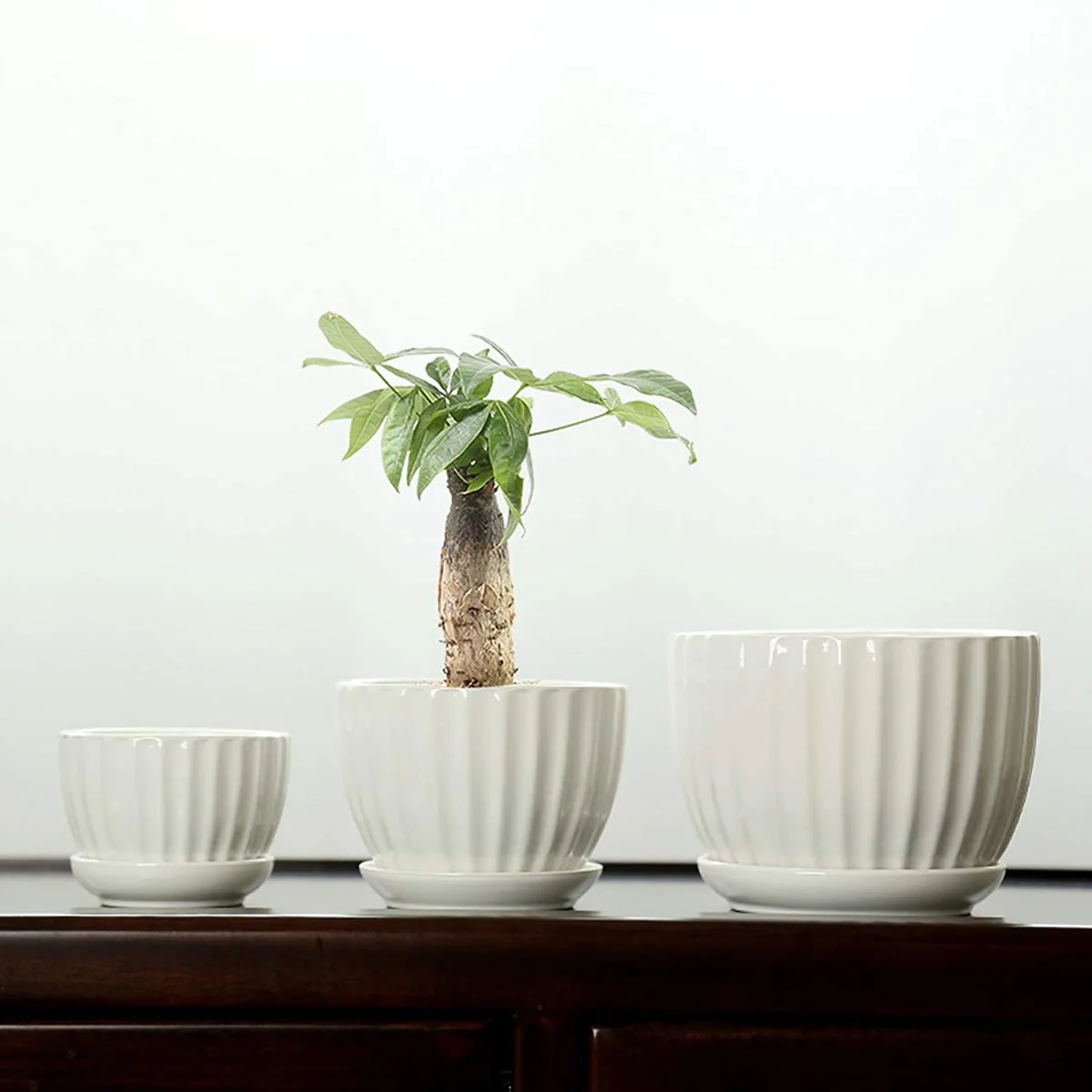 Ceramic Flower pots, White Garden Pots Succulent Cactus Planters with Drainage Saucers, Indoor & Outdoor, Set of 3, Gift for Woman Wife Mother