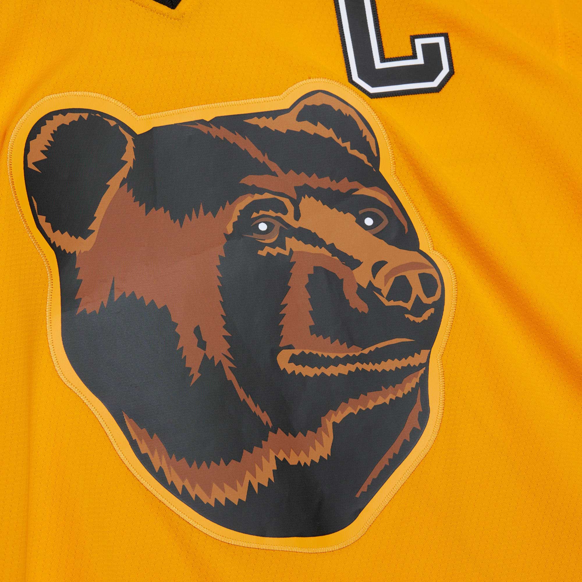 Ray Bourque Boston Bruins Mitchell & Ness  1996/97 Captain Patch Blue Line  Jersey – Gold