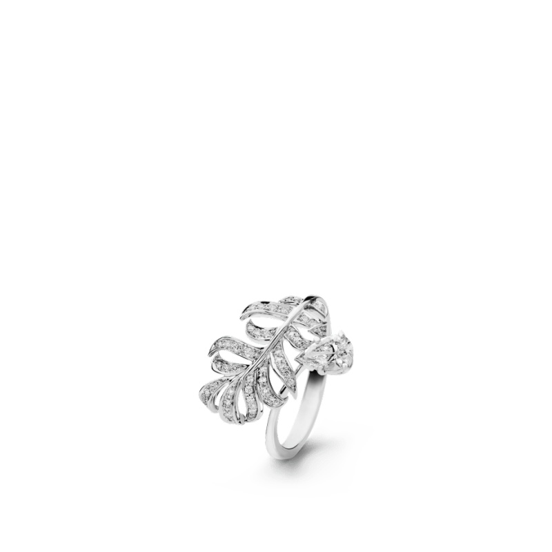 Plume de ring