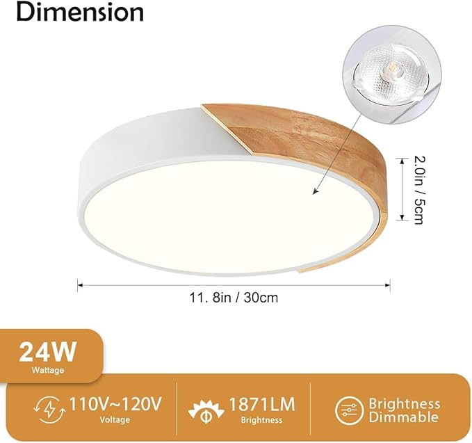 Modern Dimmable LED Ceiling Light