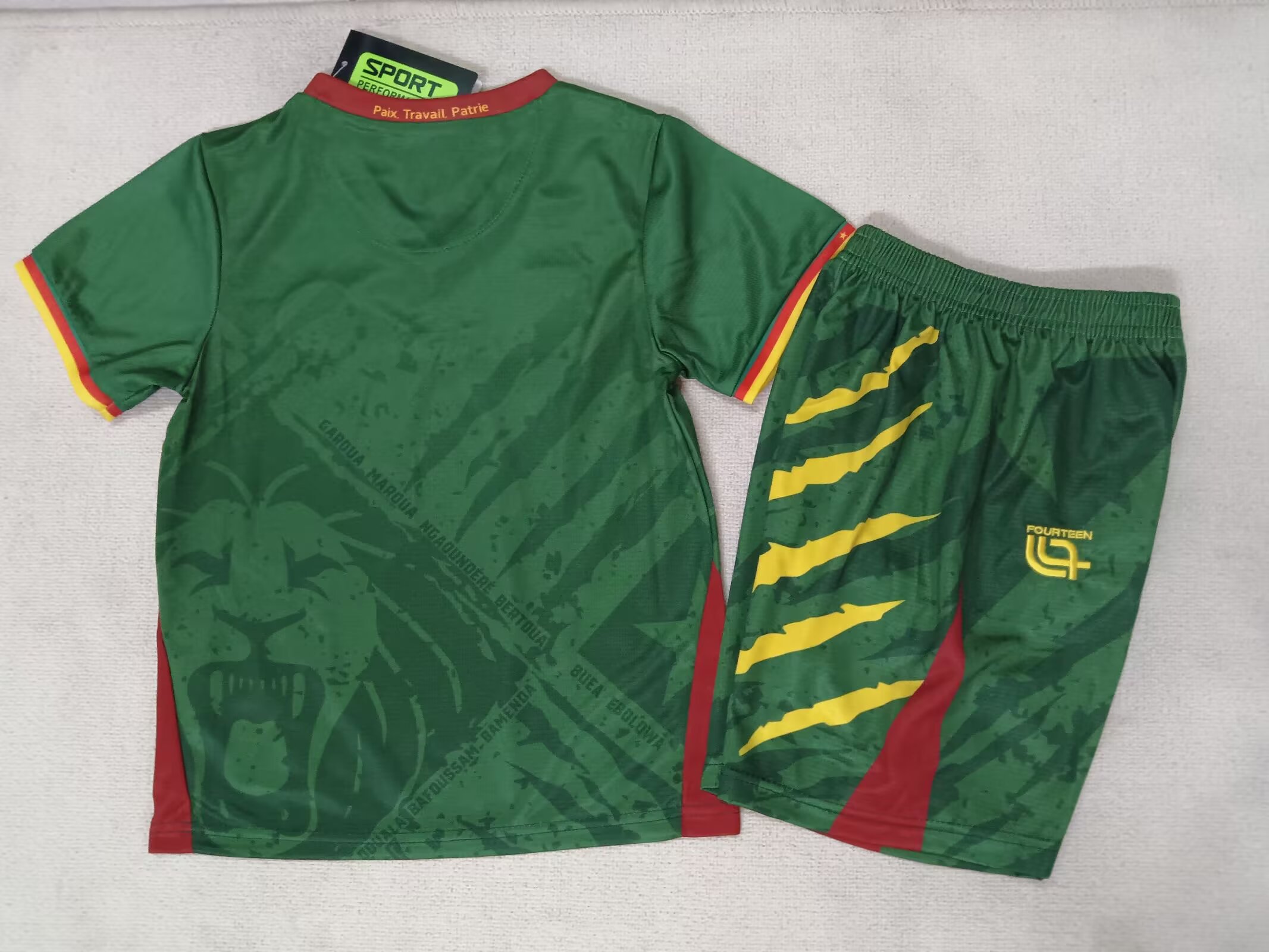 25-26 Cameroon Home Shirt - Kids