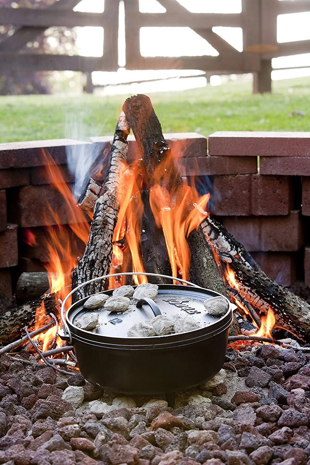 Lodge Cast Iron 12