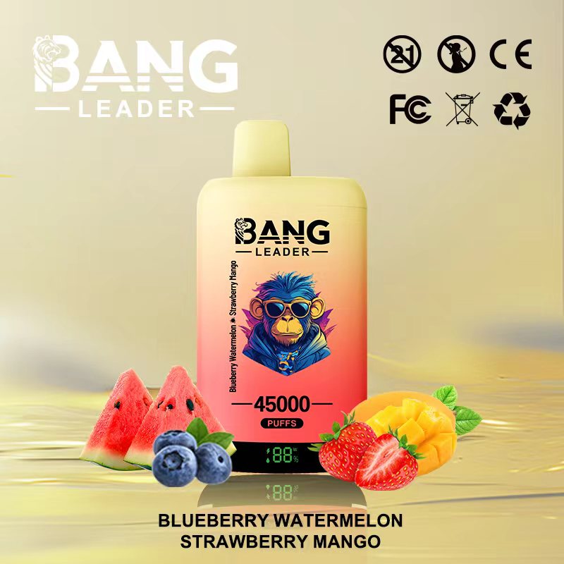 Bang Leader 45k Puffs 2-in-1