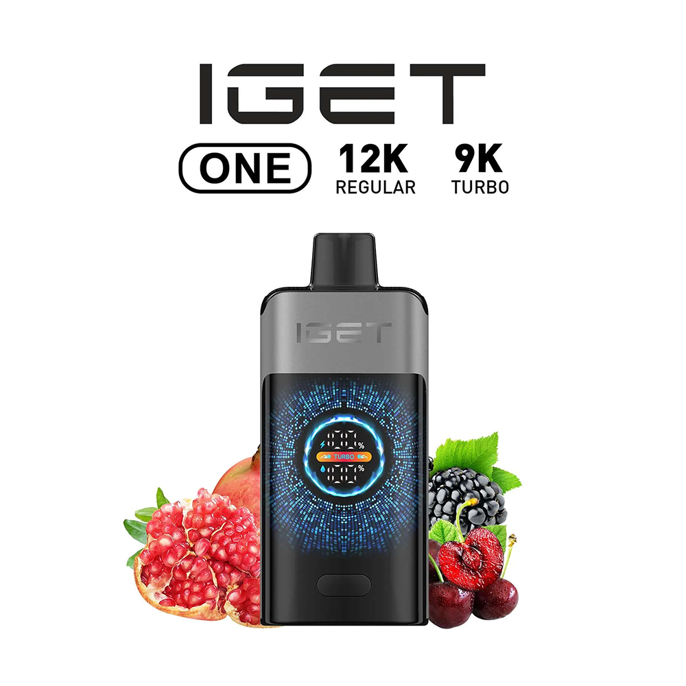 IGET ONE 12000 Puffs - All Flavors