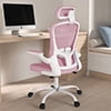 Lioncin Office Chair, High Back Ergonomic Desk Chair, Breathable Mesh Desk Chair with Adjustable Lumbar Support and Headrest, Swivel Task Chair with Flip-up Armrests,Black