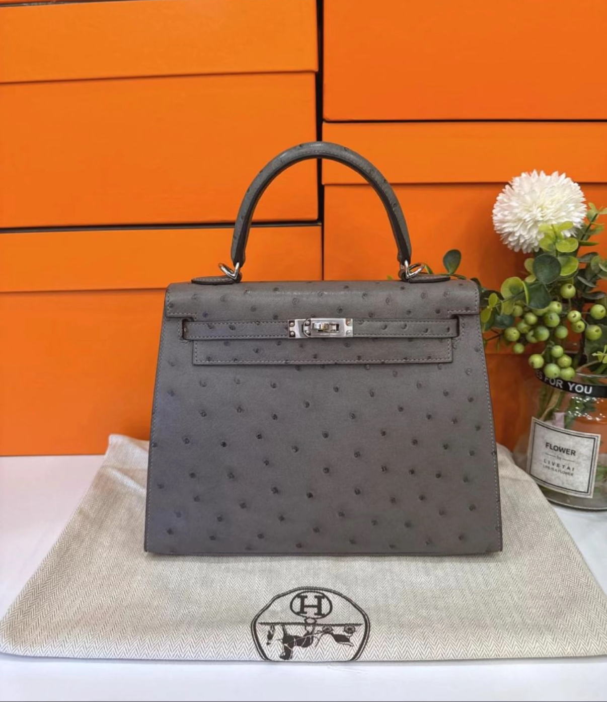 Hermès Kelly 25-28 Nimbus Grey Ostrich Leather