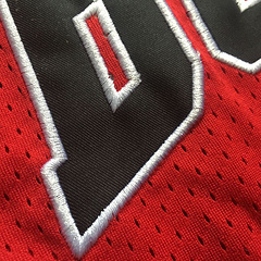 Rodman Chicago Bulls 91 Red MN