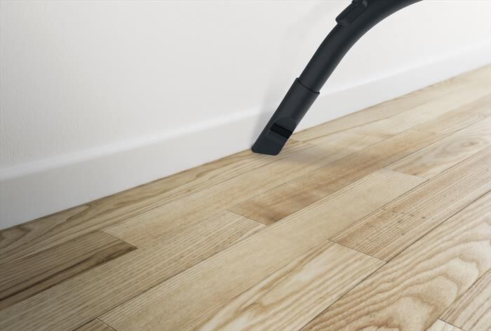 HOOVER - Aspirapolvere a Traino BV60PET 011