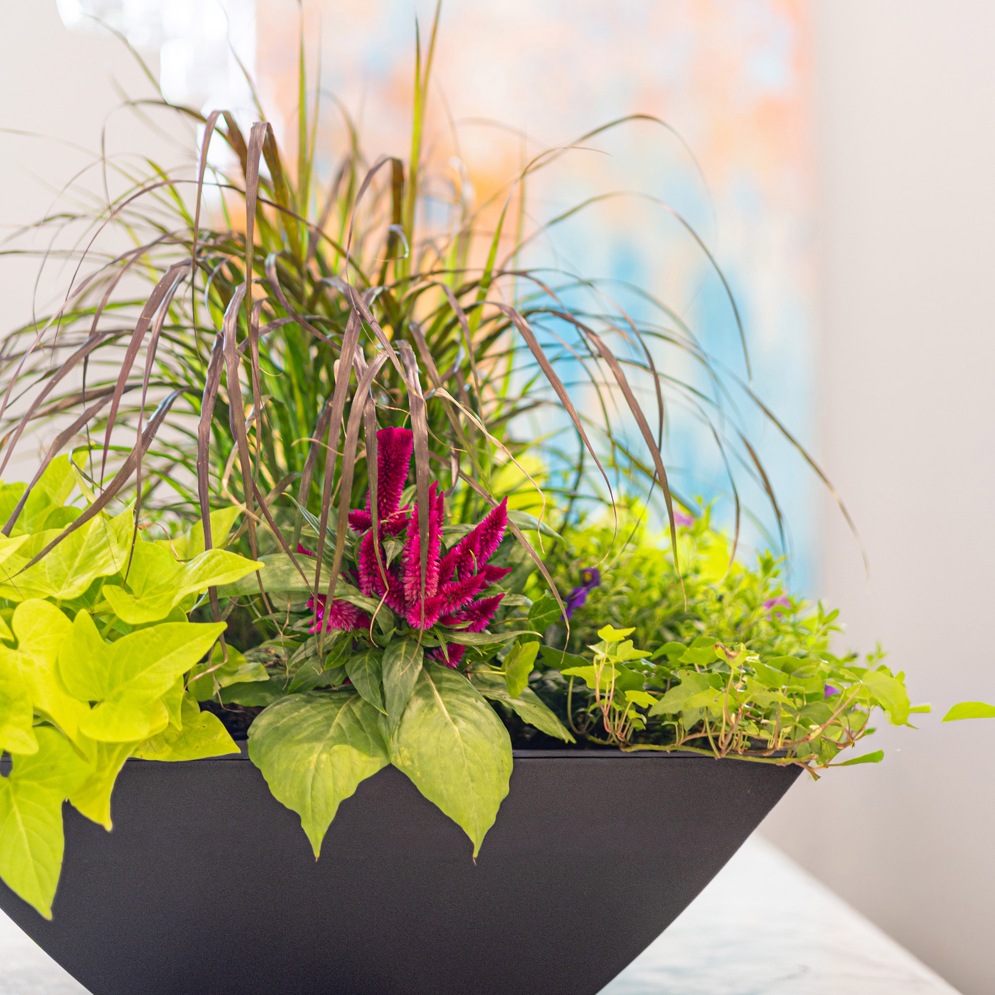 Evolve 20 in. Square Bowl Planters, Black, 2-pack