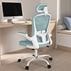 Lioncin Office Chair, High Back Ergonomic Desk Chair, Breathable Mesh Desk Chair with Adjustable Lumbar Support and Headrest, Swivel Task Chair with Flip-up Armrests,Black