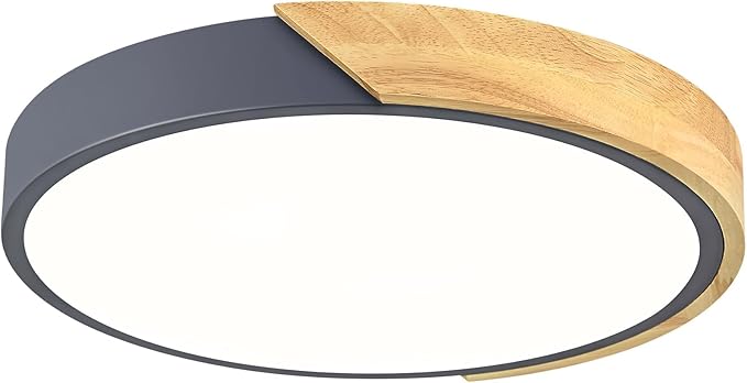 Modern LED Ceiling Light