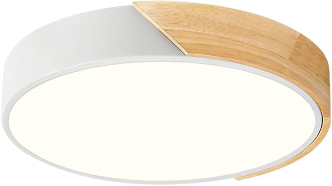 Modern Dimmable LED Ceiling Light