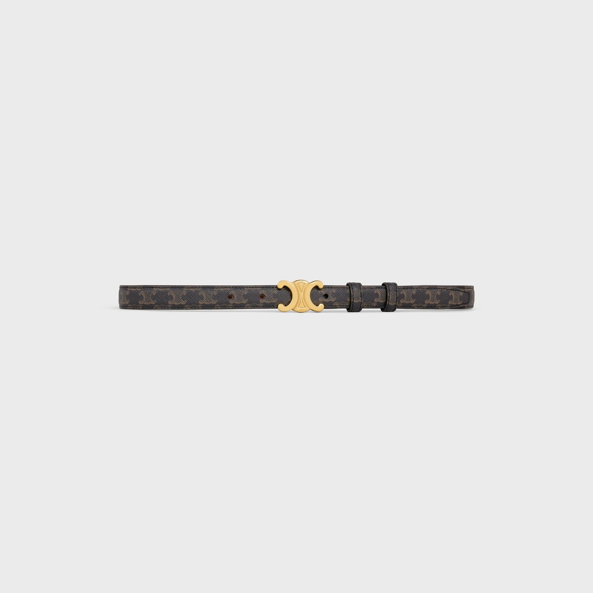 Small Triomphe Belt in TRIOMPHE CANVAS
