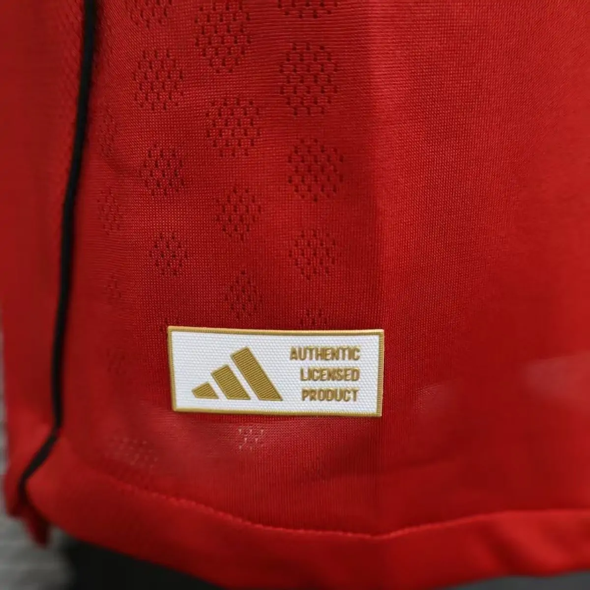 2025/26 Manchester United Home Long Sleeve Jersey - Player Edition