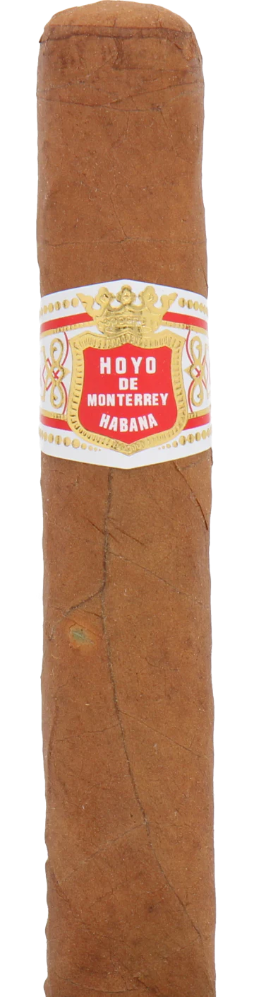 Hoyo de Monterrey Du Depute Cuban Cigar - Single