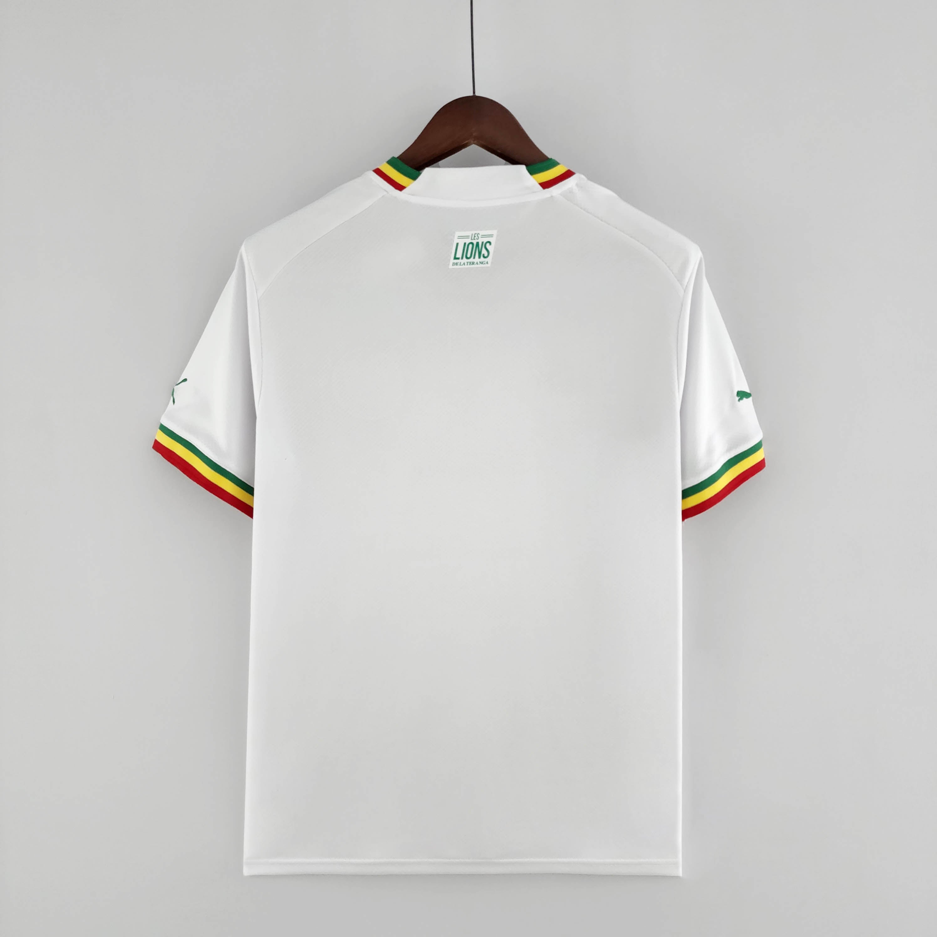 2022 FIFA World Cup Senegal National Team Home Shirt