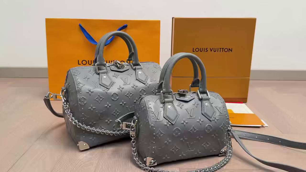 LV Speedy Studded Cushion Bag