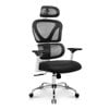Coolhut Ergonomic Office Chair, High Back Adjustable Computer Desk Chair with Lumbar Support, 300lb, Black