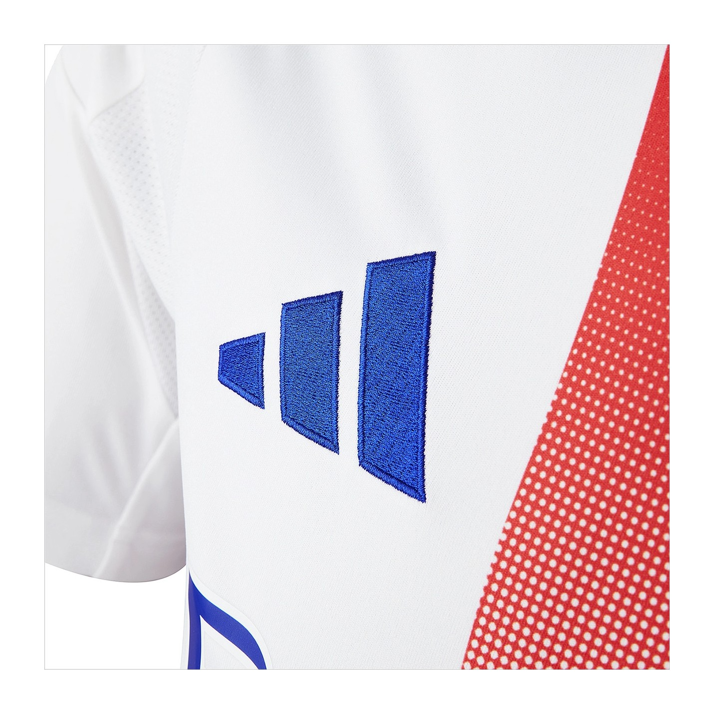 Olympique Lyonnais 2024-25 Home Kit