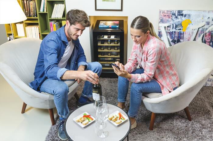 CANDY - Cantinetta CWCEL 210/NF 21 bottiglie