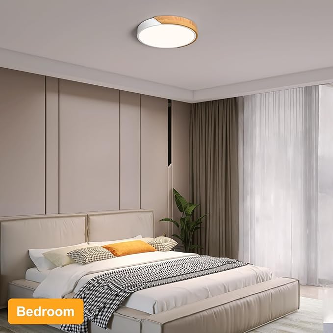 Modern LED Ceiling Light