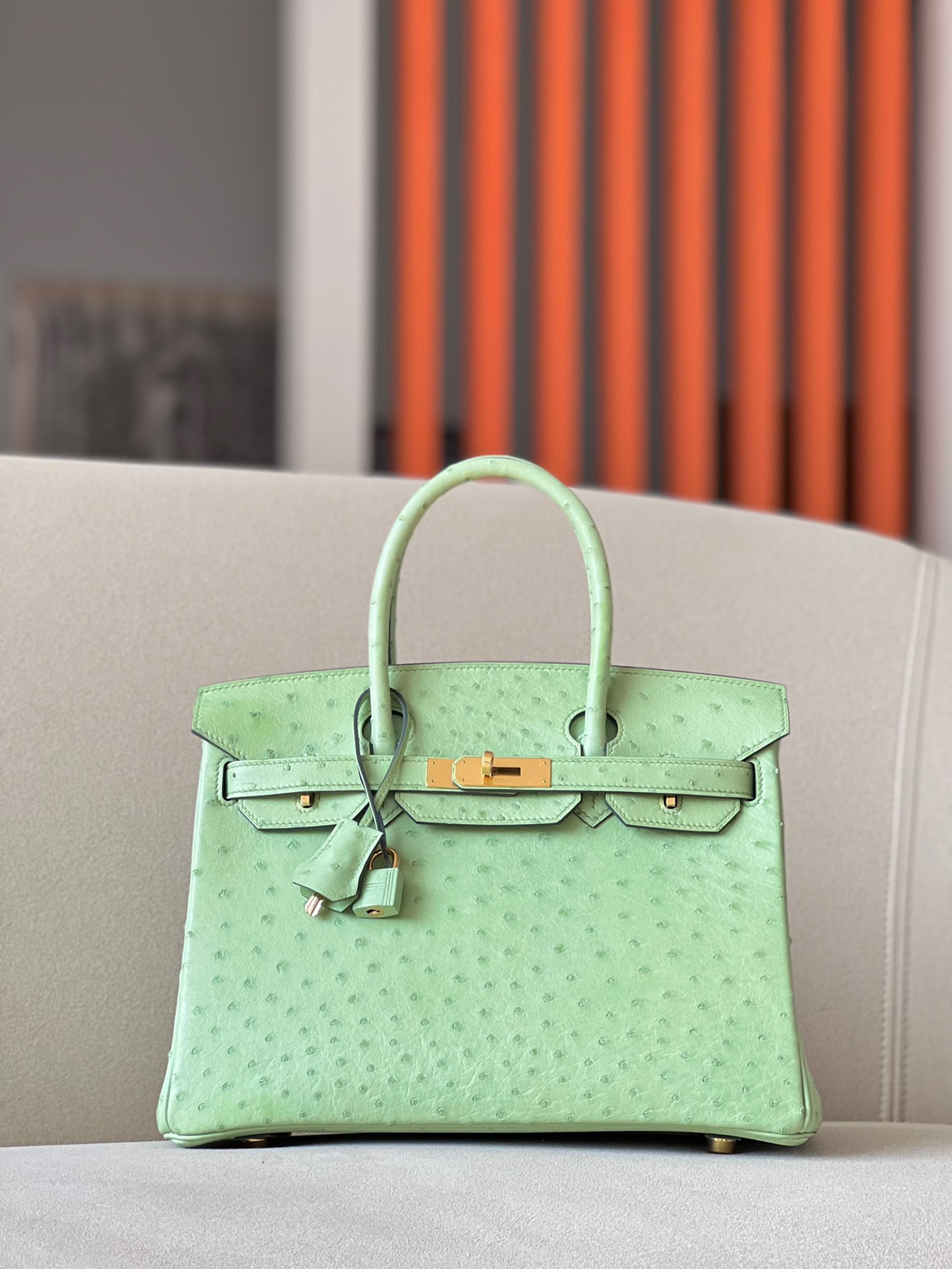 Advanced customization Birkin 25-30 Ostrich skin customization