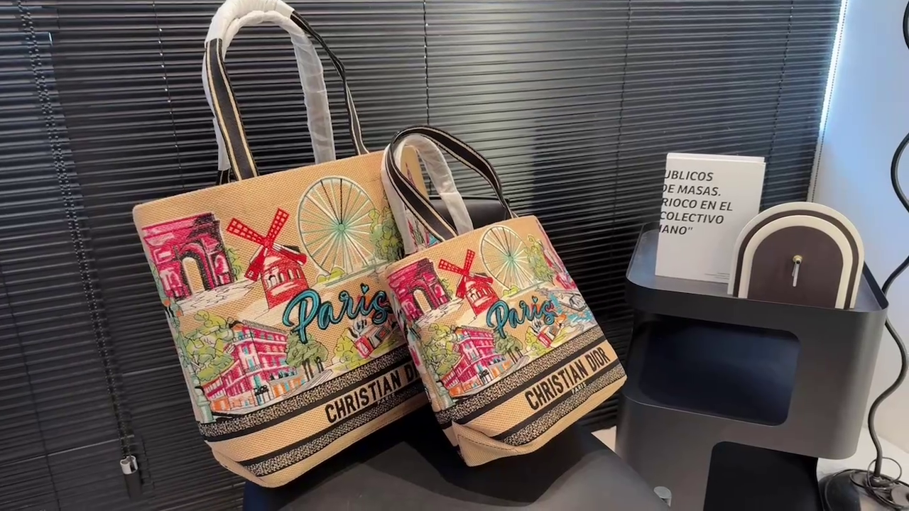 Dior Souvenir Travel Bag