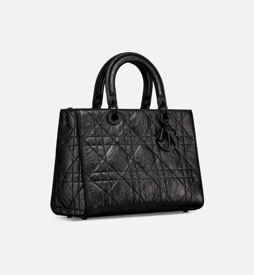 Medium Lady D-Sire My ABCDior Bag HandBags