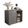 Hassch Mobile Lateral Filing Cabinet Office Wood File Cabinet with Coded Lock Printer Stand with Storage Open Shelves, Brown Oak