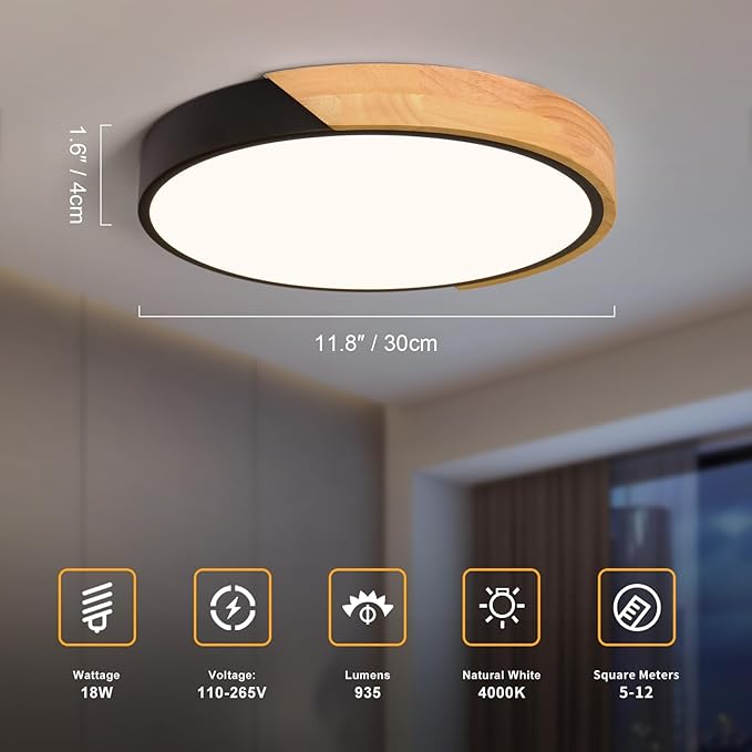 Modern LED Ceiling Light