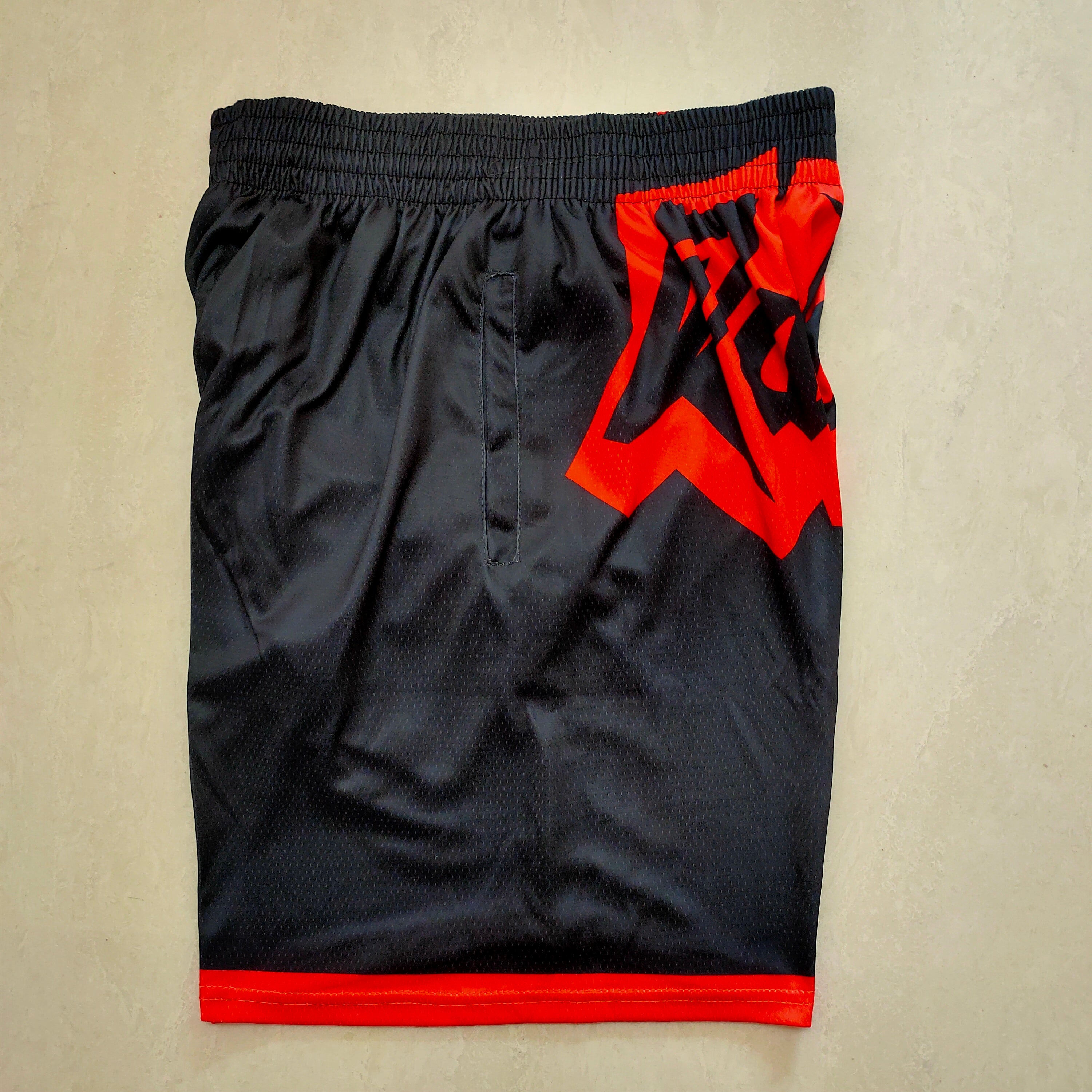 Toronto Raptors Mitchell&ness black pocket pants