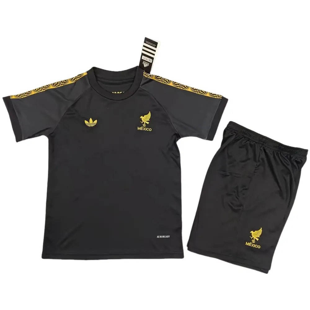 2025-26 Mexico Training Jersey - Jersey