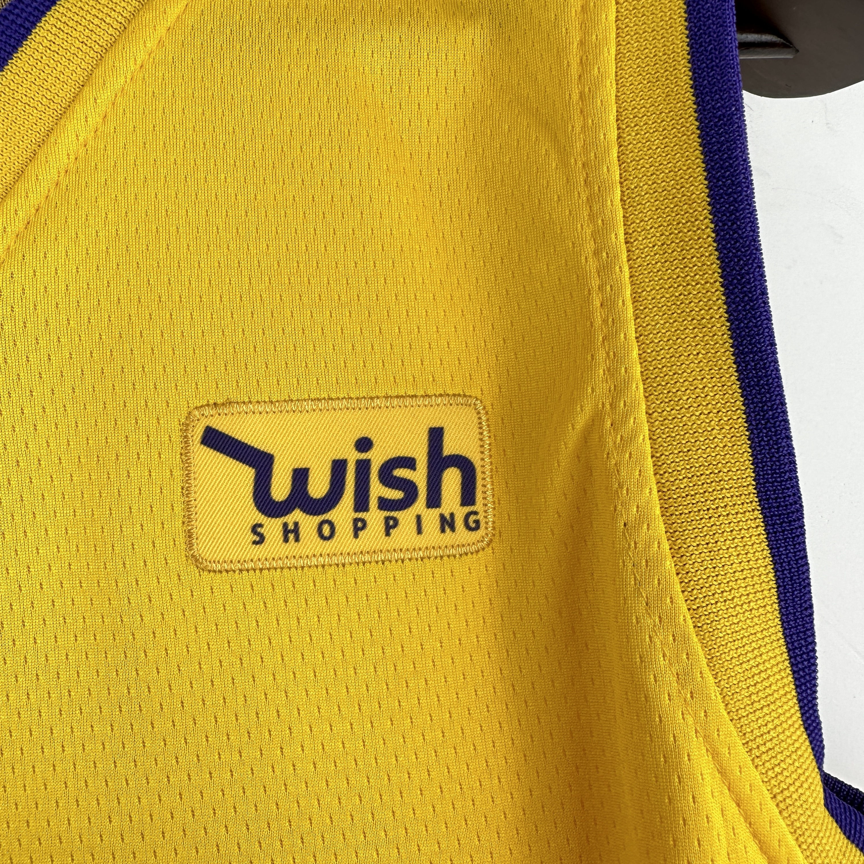 Embroidered Lakers with stars No. 23 James