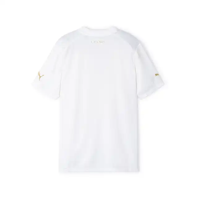 SERBIA AWAY JERSEY  2024-2025