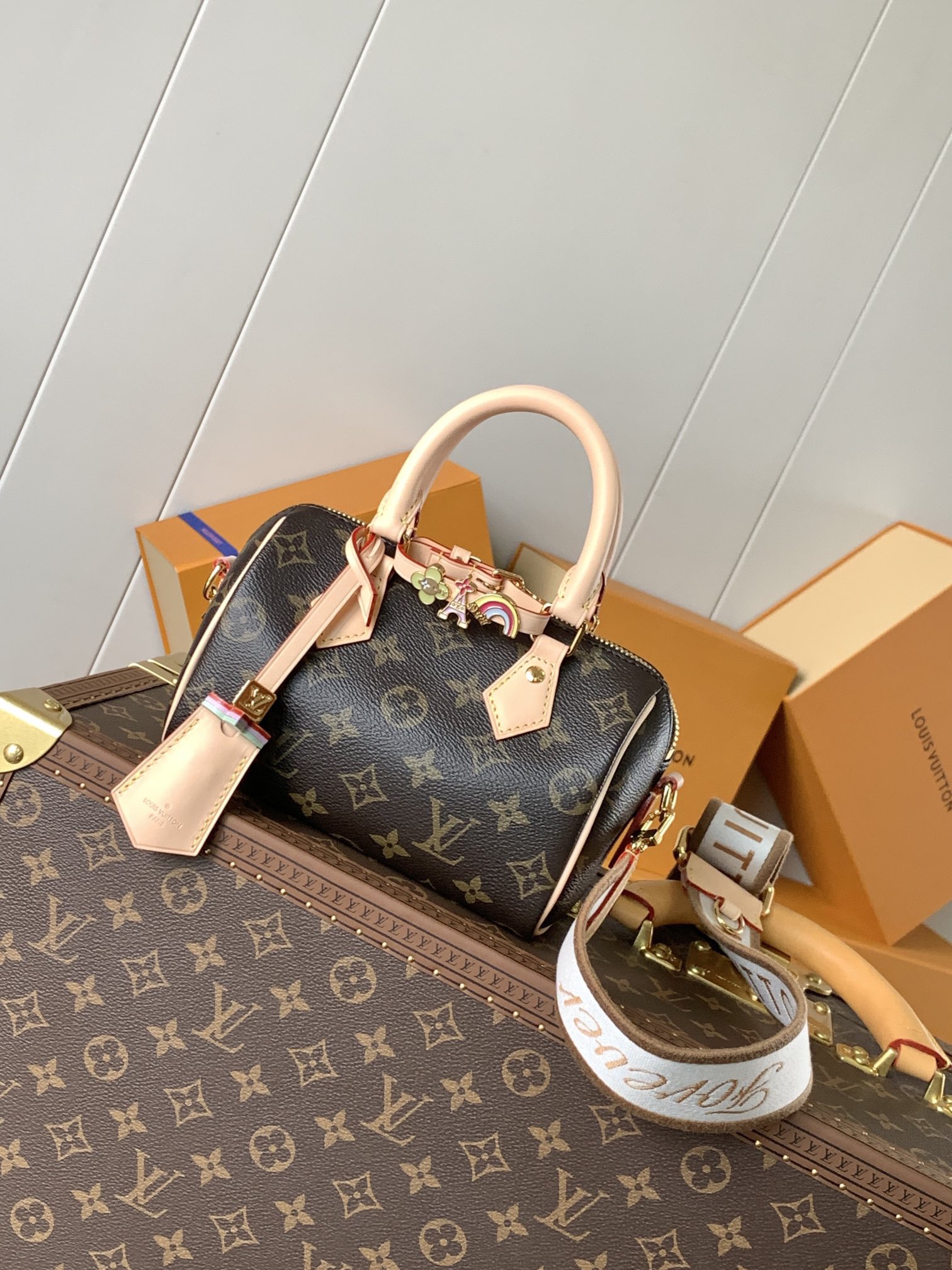 [10A] LV Speedy 18 Bag