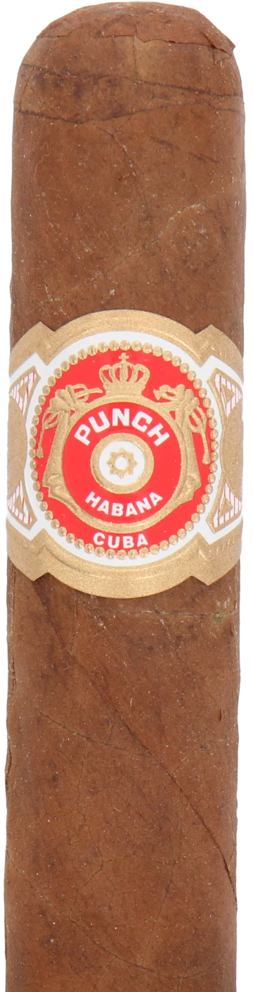 Punch Short de Punch Cuban Cigar - Single
