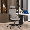 Lioncin Ergonomic Office Chair, Breathable Mesh Desk Chair, Lumbar Support Computer Chair with Wheels and 3D Adjustable Armrest, Swivel Task Chair,Dark Gray