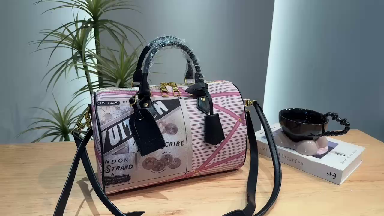 LV Monogram Pillow Bag