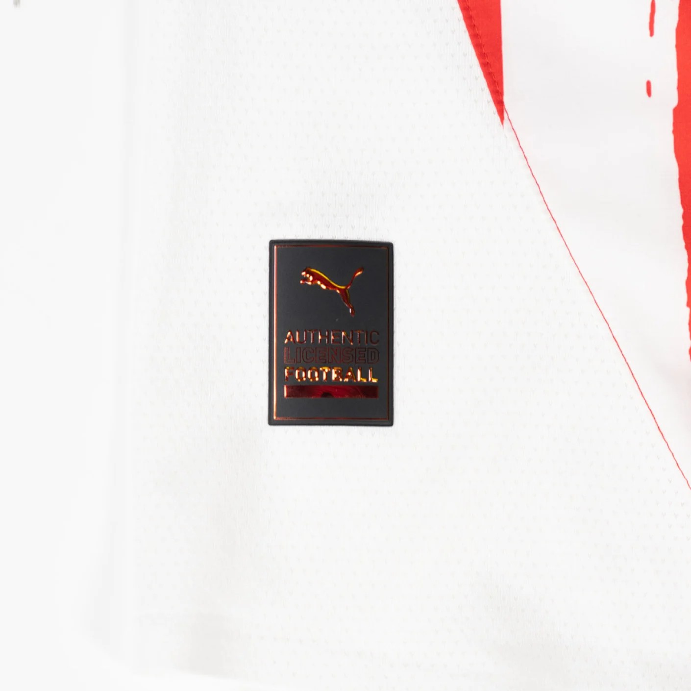 PSV 2024-25 Thuistenue