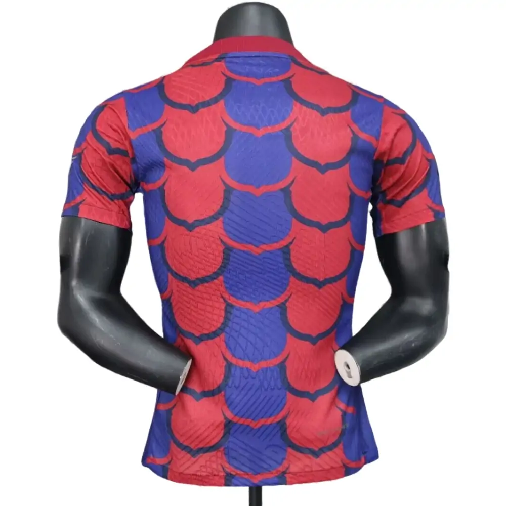 2024/25 Barcelona Special Edition Jersey - Player Version