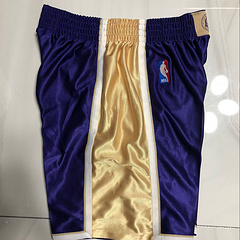 LeBron Bryant Los Angeles Lakers Purple MN