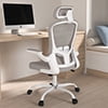 Lioncin Office Chair, High Back Ergonomic Desk Chair, Breathable Mesh Desk Chair with Adjustable Lumbar Support and Headrest, Swivel Task Chair with Flip-up Armrests,Black