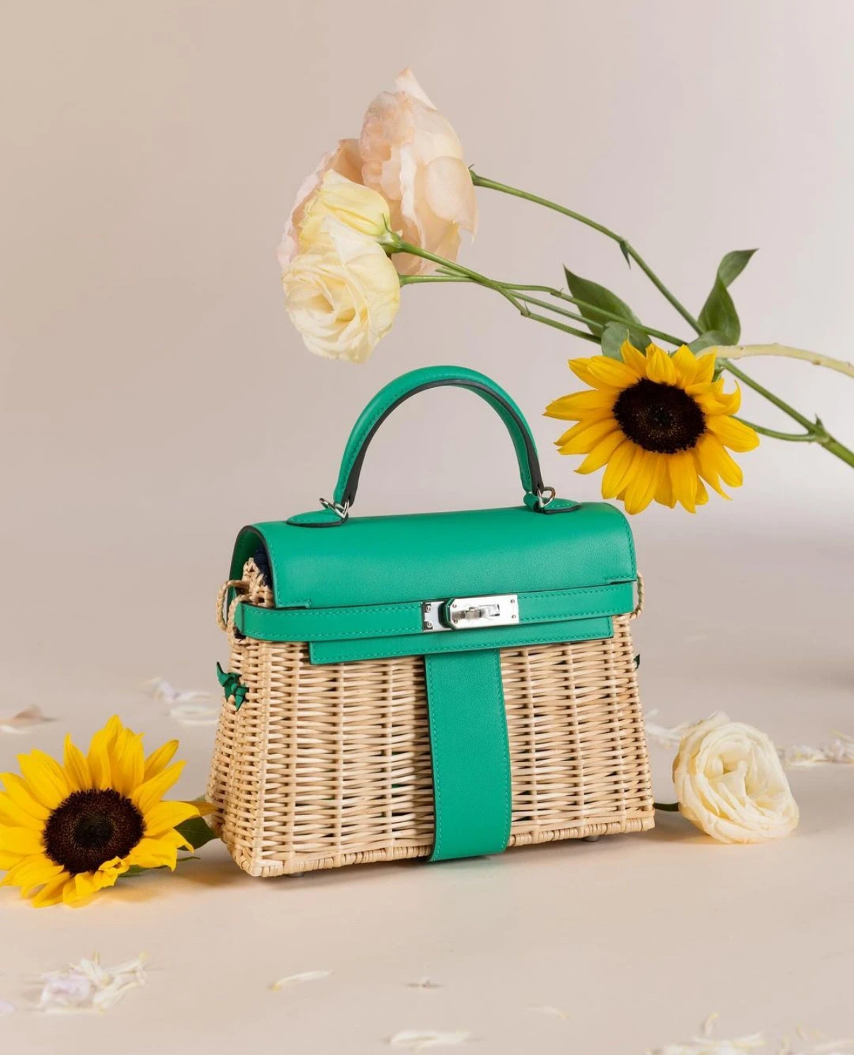 Picnic Sellier Birkin 25 Framboise Swift Palladium Hardware