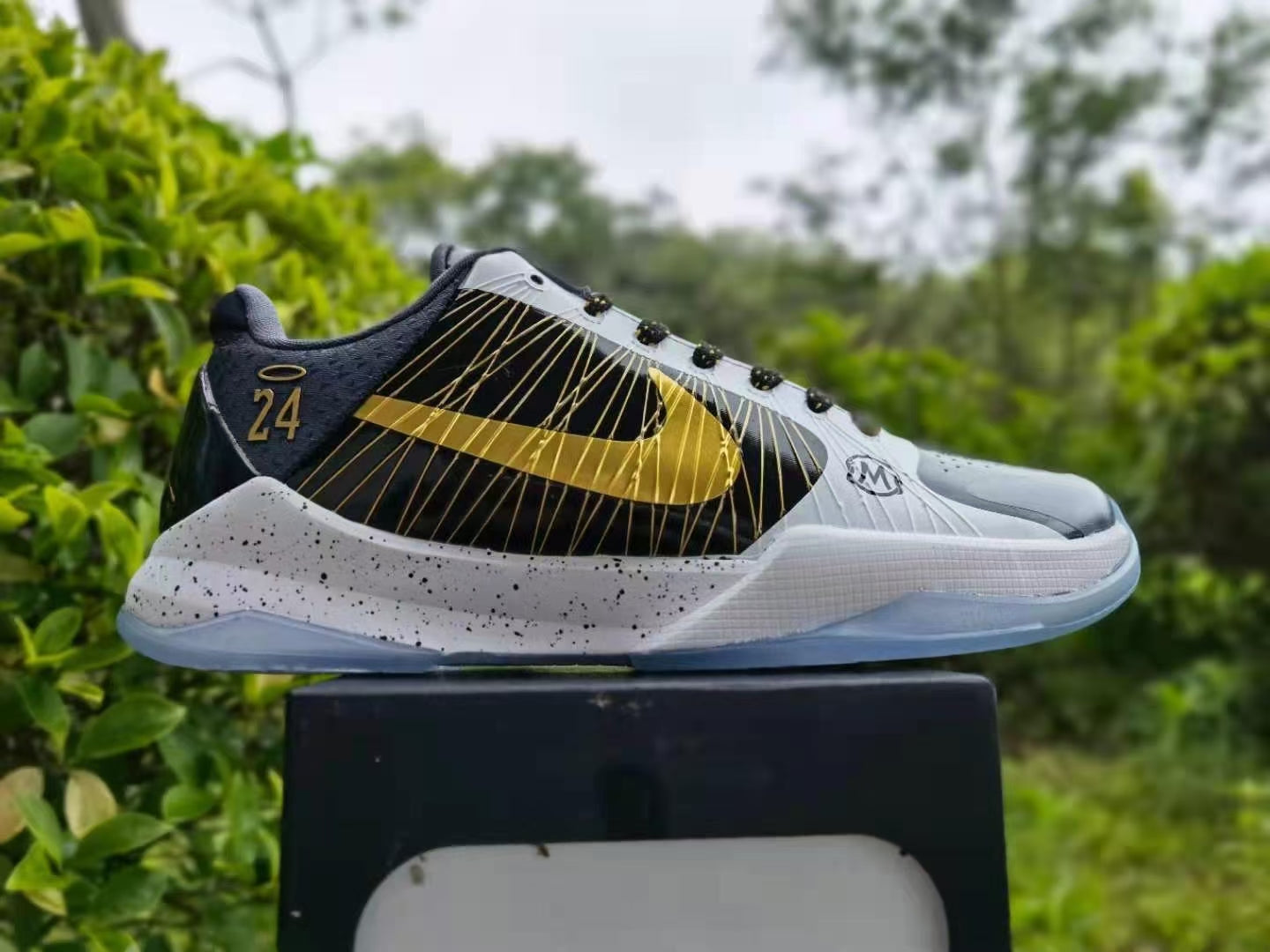 Kobe 5 x GIGI