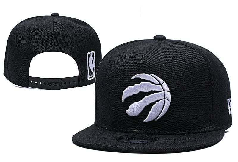 Toronto Raptors  hat