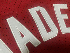 Dwayne Wade Miami Heat Red 3 MN