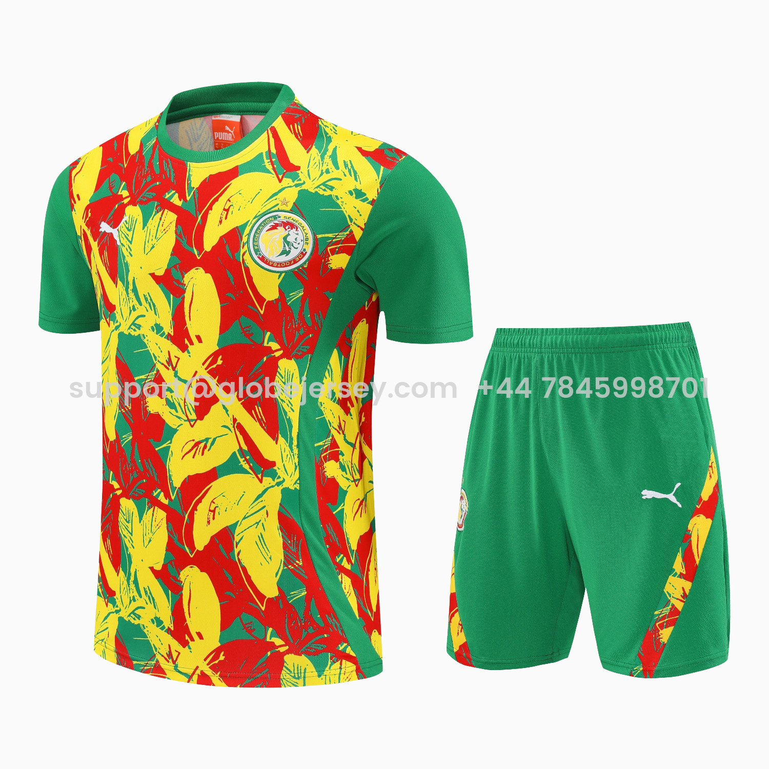 Senegal 2026 Short-Sleeve Training Set - Variegated Top and Green Shorts